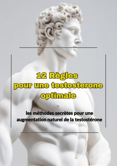 12 Règles pour une Testostérone optimale